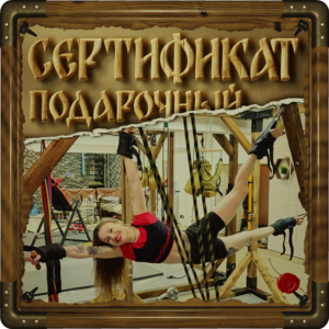 Подарочный сертификат на одно занятие на тренажере ПравИло в студии Волъга